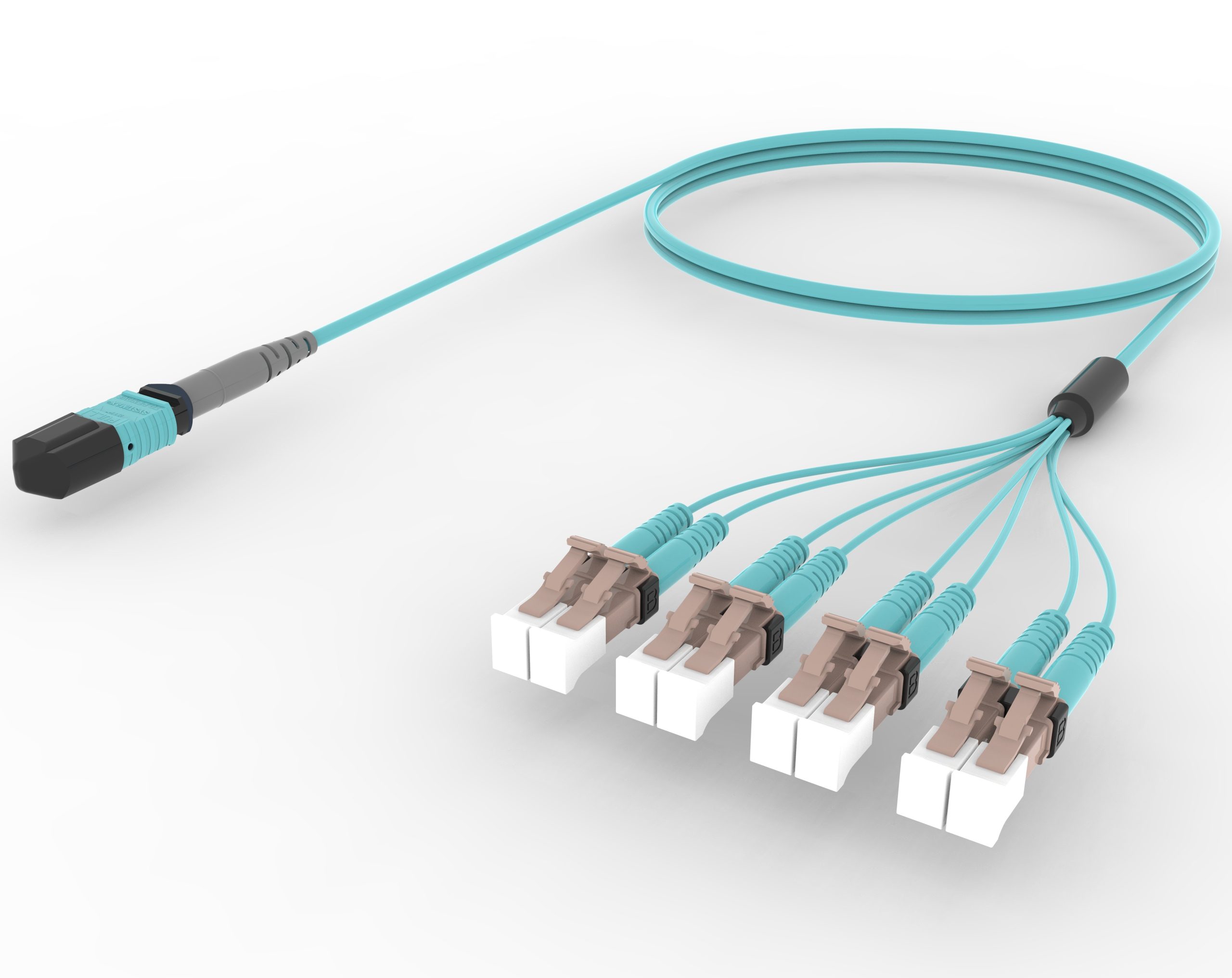 Focabex | UC PRECON